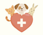 Steenberg Veterinary Clinic
