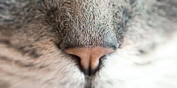 13.