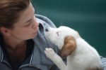 Longmarket Vet Clinic
