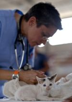Ladysmith Veterinary Clinic