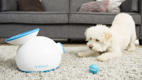 iFetch iFetch Automatic Ball Launcher
