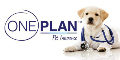 one-plan-pet-insurance-1024×512